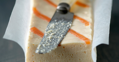 mousse-de-saumon