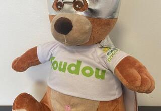 Nounours toudou