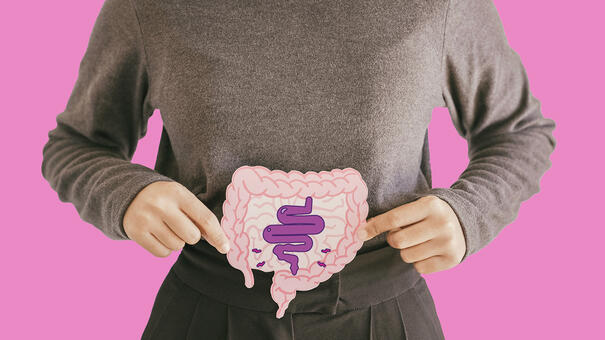 Personne montrant son système digestif en dessin