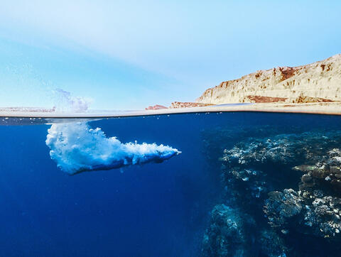 Personne plongeant dans une eau turquoise